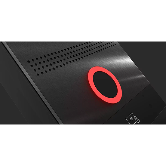 Panneau individuel BasIP AV-08FBL