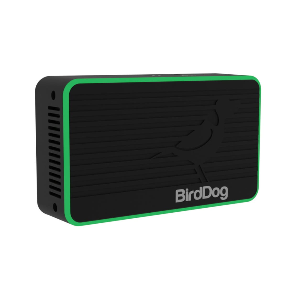 BirdDog Flex 4K IN