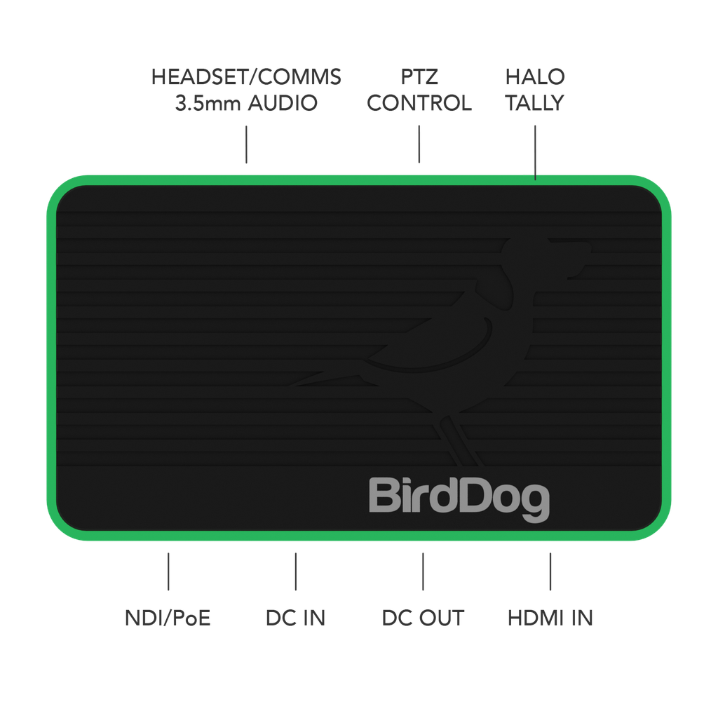 BirdDog Flex 4K IN