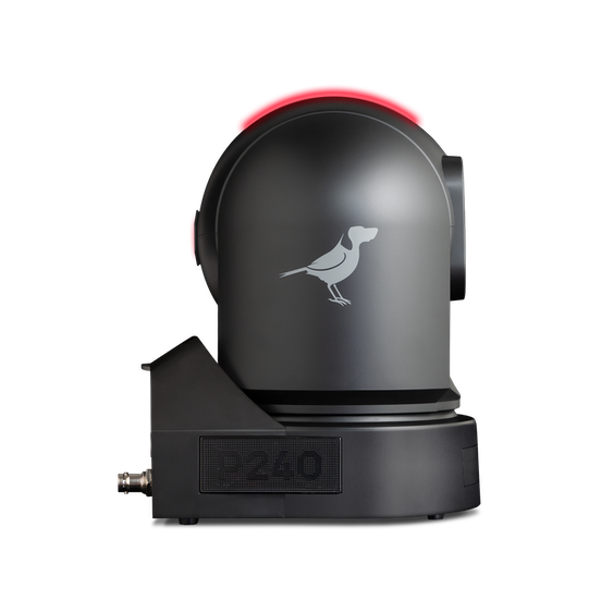 BirdDog P240 PTZ Kamera