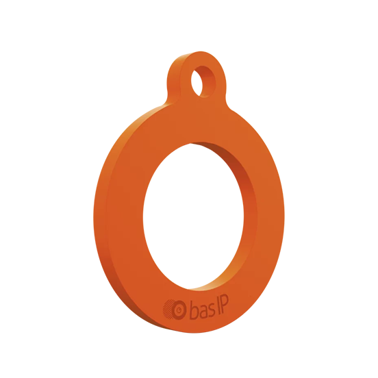 BasIP SH-02M4 access chip