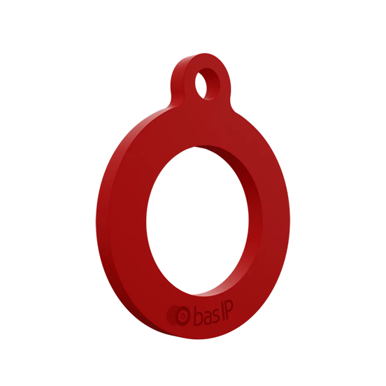 BasIP SH-02M4 access chip