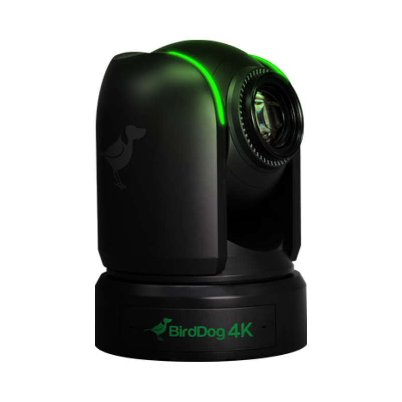 BirdDog P4K PTZ Kamera Schwarz Seitenansicht