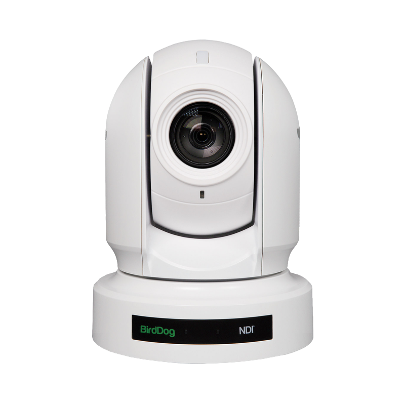 BirdDog Eyes P400 PTZ Kamera