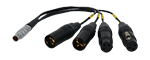 Bolin 10-pin LEMO to XLR Breakout Cable BLA-10